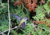 IMG_0002.jpg