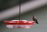 IMG_0005.jpg