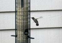 IMG_0001.jpg