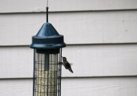 IMG_0002.jpg