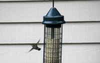 IMG_0003.jpg