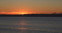 IMG_0004.jpg
