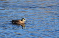 IMG_0005.jpg