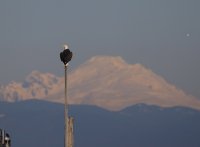 IMG_0001.jpg