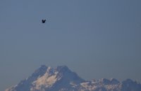 IMG_0003.jpg