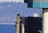 IMG_0005.jpg