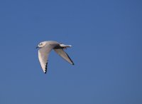 IMG_0002.jpg