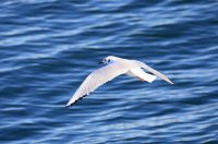 IMG_0003.jpg