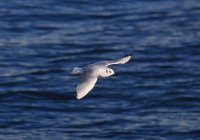 IMG_0004.jpg