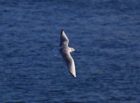 IMG_0005.jpg