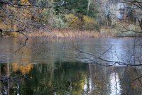 IMG_0003.jpg