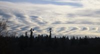 IMG_0001.jpg