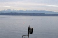 IMG_0001.jpg