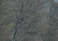 IMG_0003.jpg