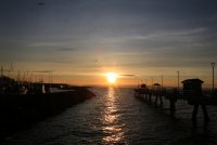 IMG_0001.jpg