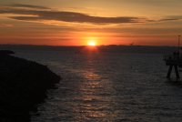 IMG_0005.jpg