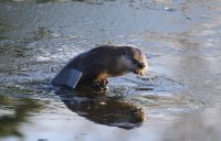 IMG_0004.jpg