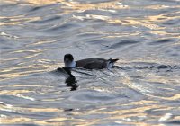 IMG_0002.jpg