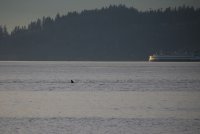IMG_0003.jpg