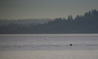 IMG_0004.jpg