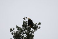 IMG_0001.jpg