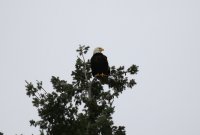 IMG_0002.jpg