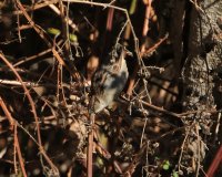 04.jpg