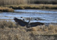 IMG_0003.jpg