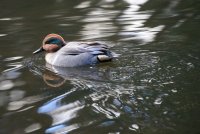 IMG_0004.jpg