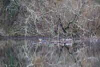 IMG_0005.jpg