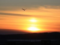 IMG_0002.jpg