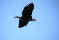IMG_0004.jpg