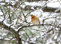 IMG_0002.jpg