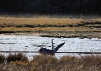 IMG_0004.jpg
