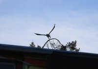 IMG_0003.jpg