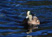 IMG_0001.jpg