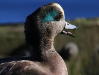IMG_0003.jpg
