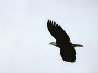 IMG_0003.jpg