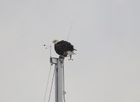 IMG_0004.jpg