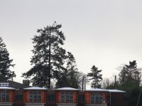 IMG_0005.jpg