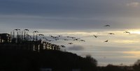 IMG_0001.jpg