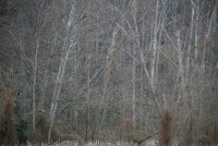 IMG_0001.jpg