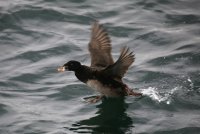 IMG_0001.jpg