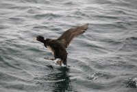 IMG_0003.jpg