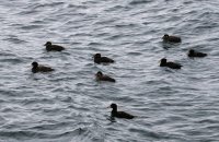 IMG_0004.jpg