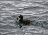 IMG_0005.jpg