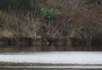 IMG_0001.jpg