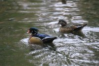 IMG_0007.jpg