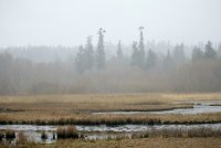 IMG_0001.jpg