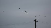 IMG_0001.jpg